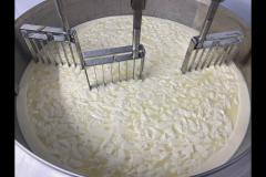 The Yorkshire Cheese Farm - 10