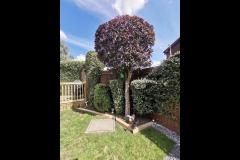 Total Deck Head Bicester