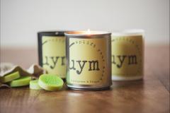 Uplift Your Mood Scents - 11
