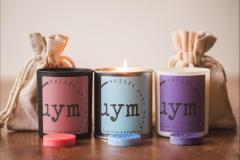 Uplift Your Mood Scents - 15