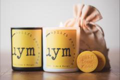 Uplift Your Mood Scents - 17