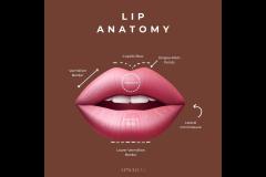 Apsaras Aesthetic Clinic Coventry - 7