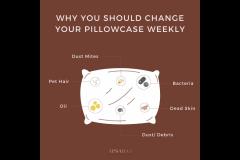 Apsaras Aesthetic Clinic Coventry - 10