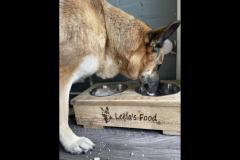 AtoZ WoodWork and Design - 7