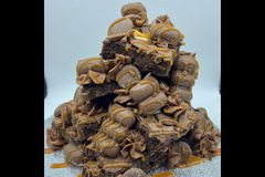 Dale's Handmade Ltd - 8