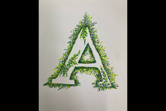 Warwickshire Artisans - 11