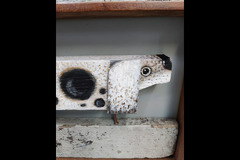 Warwickshire Artisans - 15