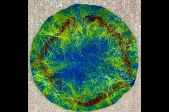 Warwickshire Artisans - 16