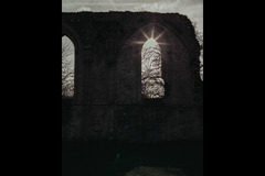 Helena Miscioscia Photography