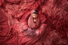 But Natural Photography - 7