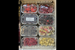 Wester Hardmuir Fruit Farm