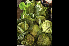 Wester Hardmuir Fruit Farm - 9