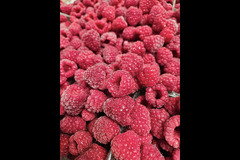 Wester Hardmuir Fruit Farm - 10