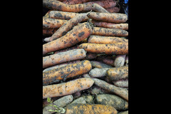 Wester Hardmuir Fruit Farm - 14