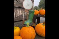 Charleton Fruit Farm