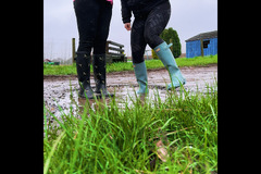 Charleton Fruit Farm - 9