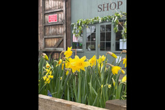 Charleton Fruit Farm - 11