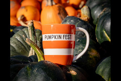 Strawberry Fields Lifton