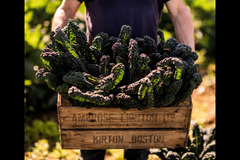 Strawberry Fields Lifton - 9