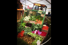 Strawberry Fields Lifton - 12