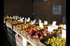 Pippins Farm Orchards Pembury