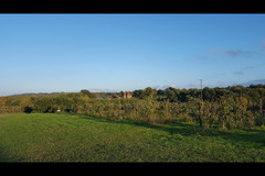 Pippins Farm Orchards Pembury