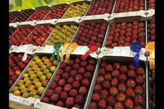 Pippins Farm Orchards Pembury - 6