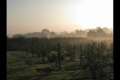 Pippins Farm Orchards Pembury - 8