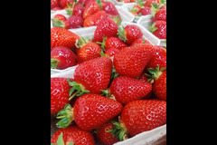 Essington Farm Essington - 15