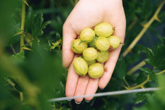 Rectory Farm Oxford - 6