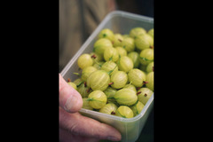 Rectory Farm Oxford - 8