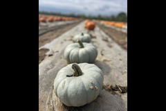 Rectory Farm Oxford - 9