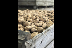 Rectory Farm Oxford - 10