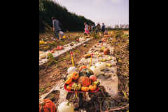 Rectory Farm Oxford - 12