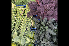 Darts Farm Topsham - 7