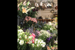 Darts Farm Topsham - 14