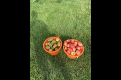 Foxendown Farm MEOPHAM