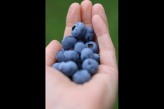 Hendrewennol Cowbridge