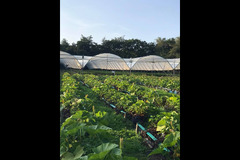 Hendrewennol Cowbridge