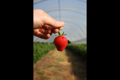 Hendrewennol Cowbridge - 6