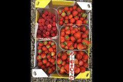 Hendrewennol Cowbridge - 10