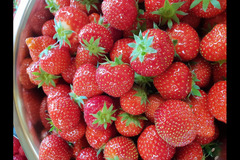 Hendrewennol Cowbridge - 12