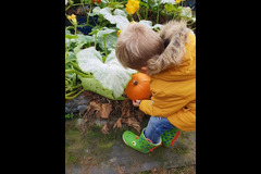 Hendrewennol Cowbridge - 14