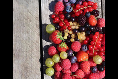 Hendrewennol Cowbridge - 15