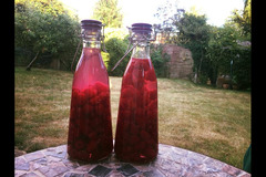 Scaddows Farm Ticknall