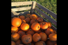 Scaddows Farm Ticknall