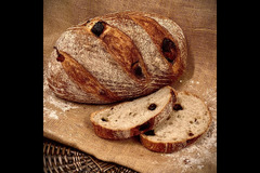 Canalside Farm Great Haywood