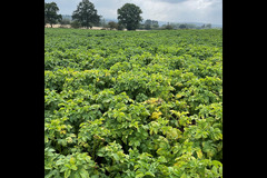 Canalside Farm Great Haywood