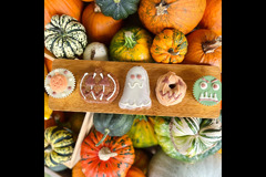 Canalside Farm Great Haywood