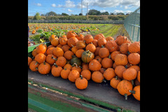 Canalside Farm Great Haywood - 6